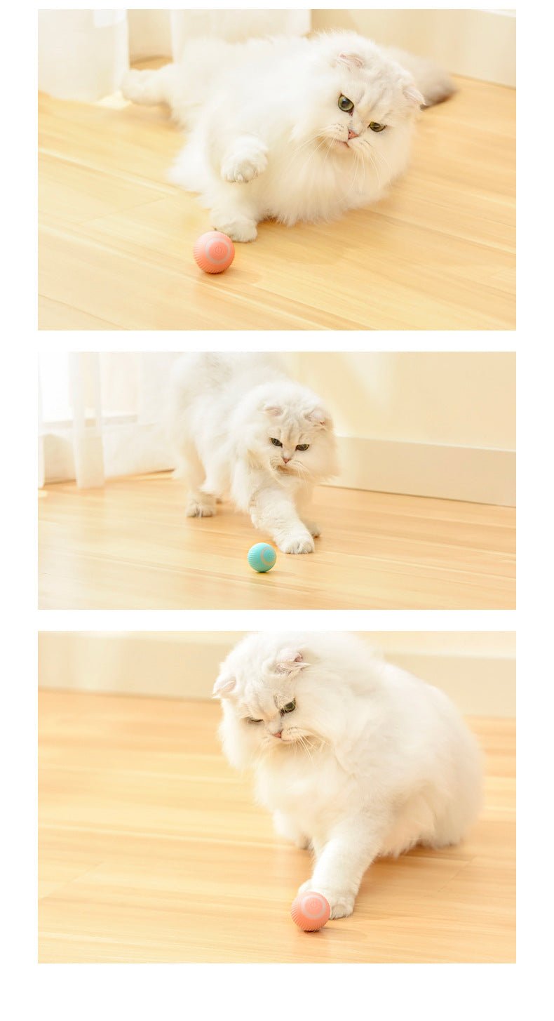Cat Gravity Intelligent Rolling Ball Tease Toy Pet Automatic Rotating Ball - ChatZen