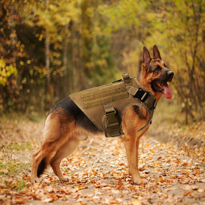 Outdoor Tactical Dog Vest For Large Dogs - ChatZen