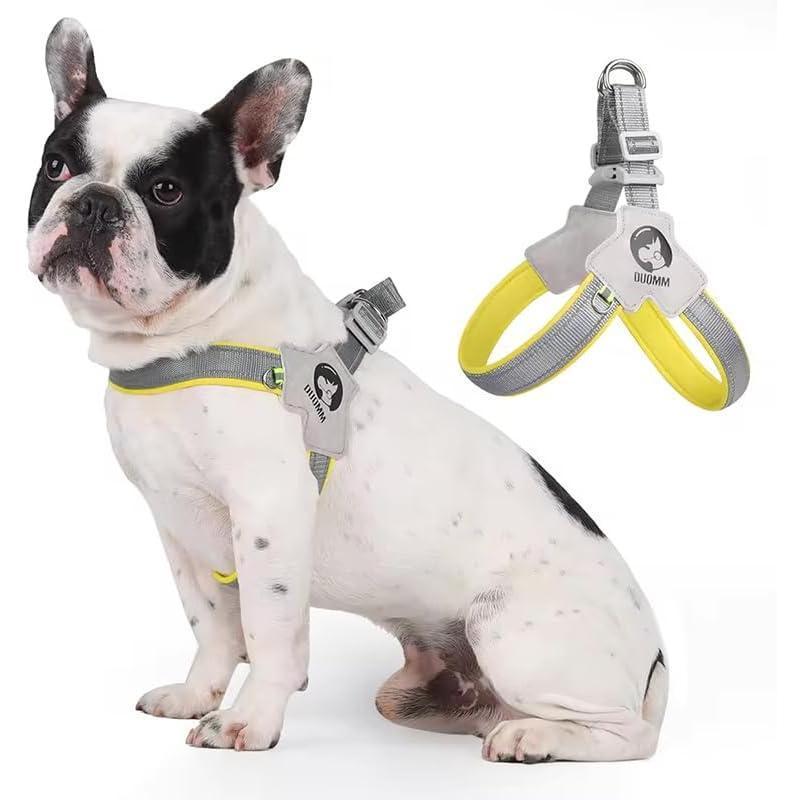 Pet Dog Cat Harness, Pet Harness With LeashSet, Adjustable Puppy Harness ComfortableReflective Easy Control Dog With Leather Leash,.No-Pull No Choke Pet Harness For TrainingWalking - ChatZen